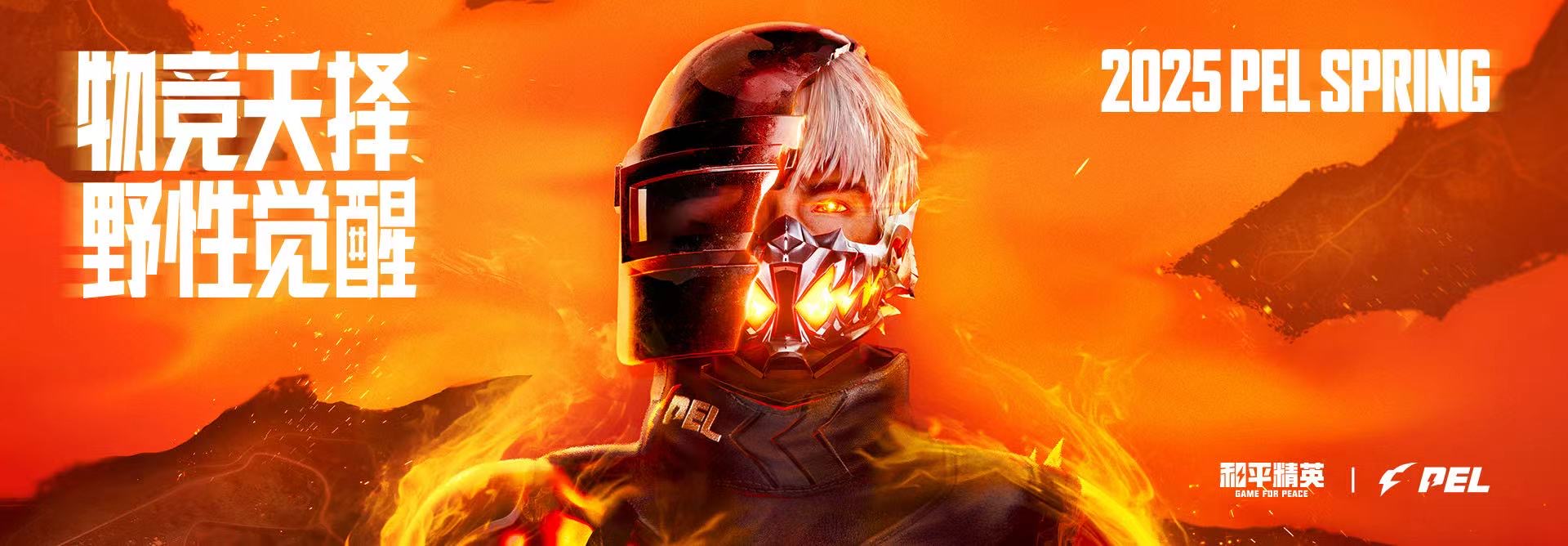 手机和平精英辅助透视